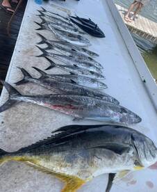 Gulf Shores Report Photo 1