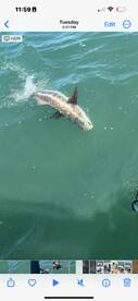 Wrightsville Beach Report Photo 2