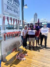 Vermillion snapper and sharks