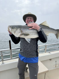 Montauk Report Photo 2