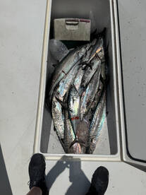 Fernandina Beach Report Photo 1