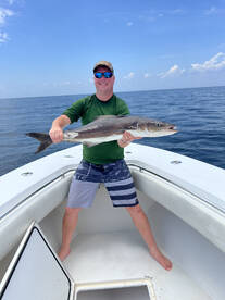 Hot king & cobia bite continues