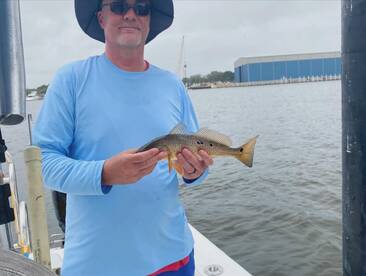 Pensacola Report Photo 1