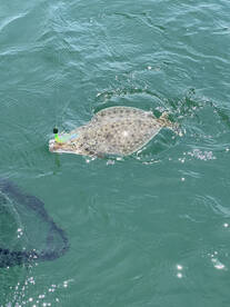Point Pleasant Report Photo 2