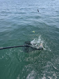Point Pleasant Report Photo 1