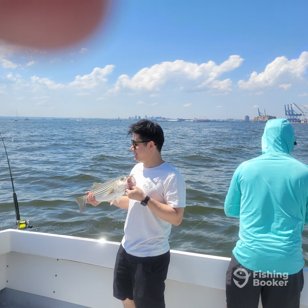 Baltimore Report Photo 0