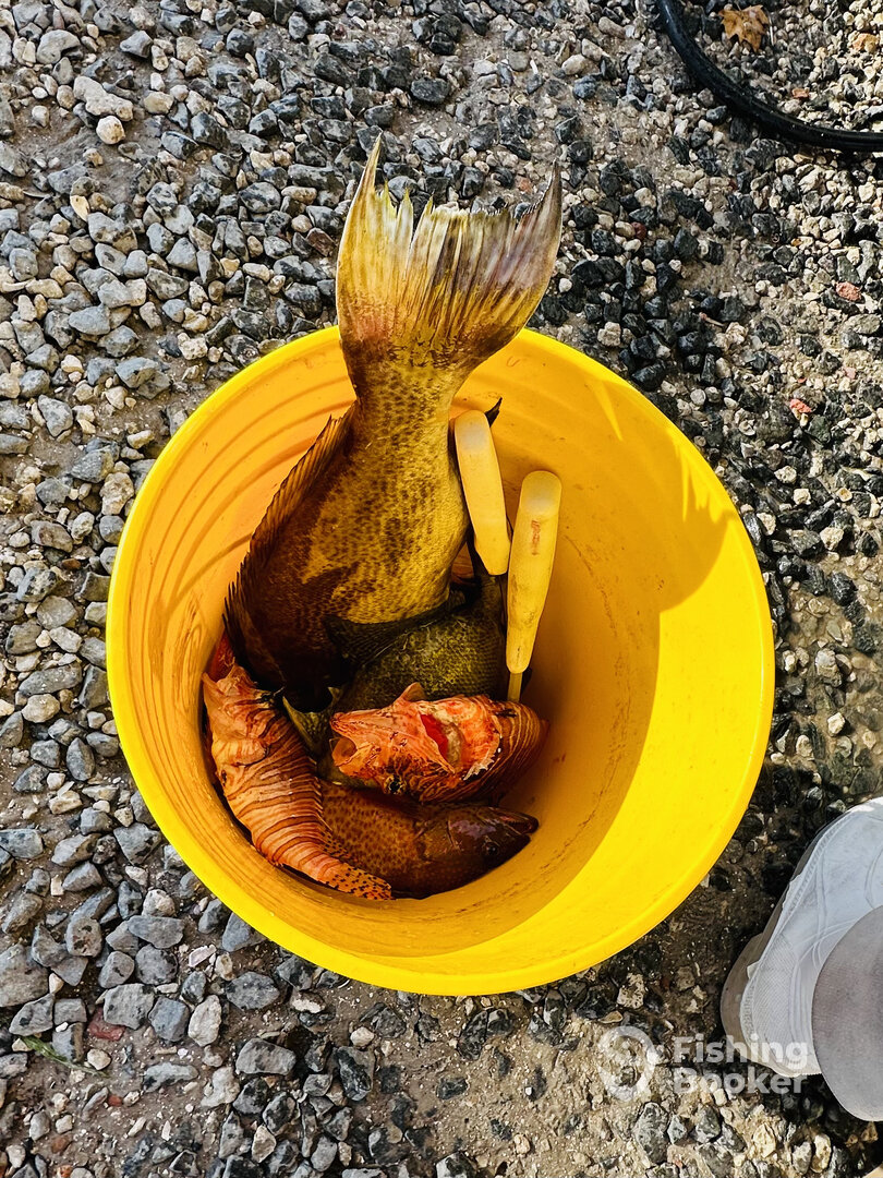 Port Orange Report Photo 0