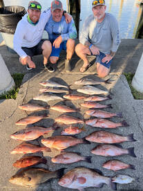 Meat haul big quality fish