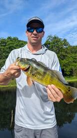 Gamboa Report Photo 2
