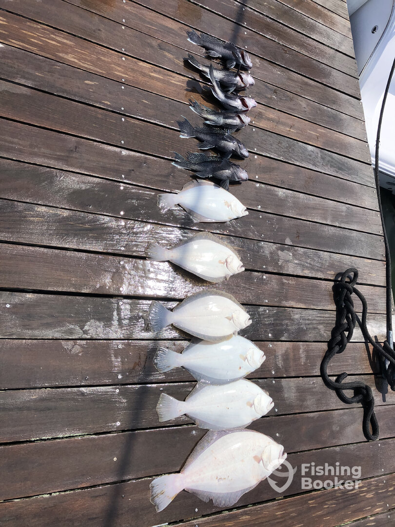 Rehoboth Beach Report Photo 0