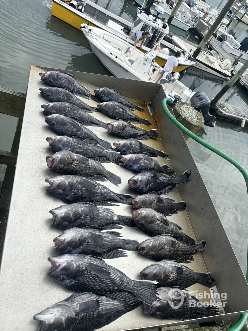 Cape May Report Photo 0