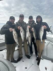 Pat and Crew catch their Limit in 45 min