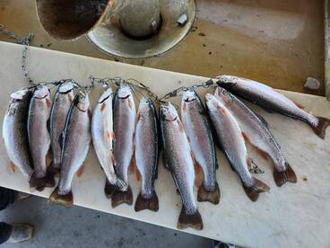 Duchesne Report Photo 2