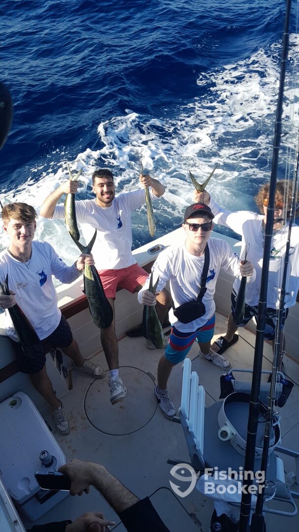 Cabo San Lucas Report Photo 0