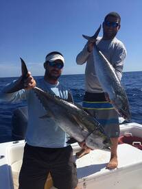 Madeira Beach Report Photo 1