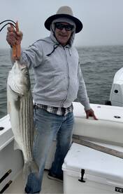 Striped Bass are a great target fish