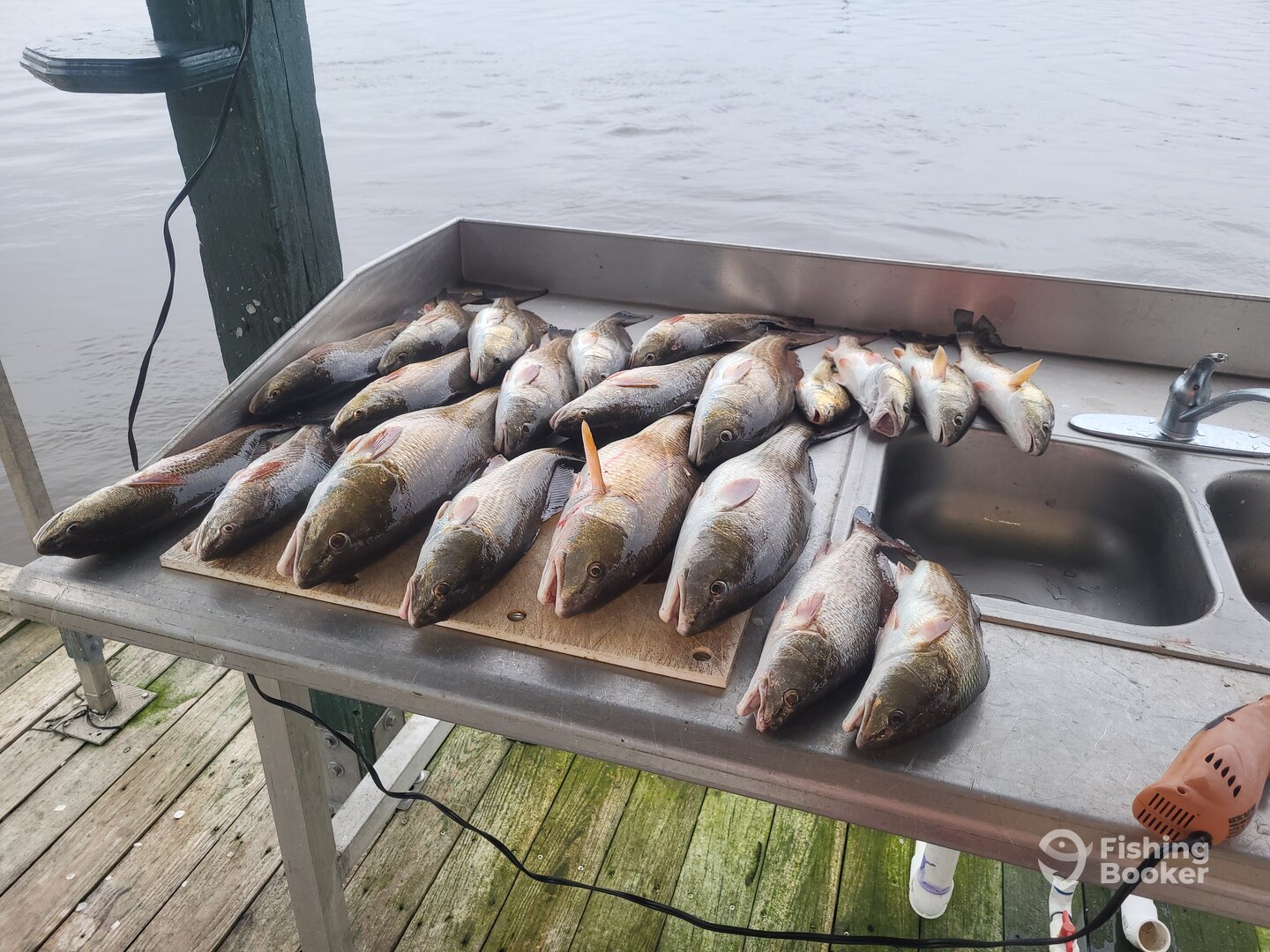 Sulphur Report Photo 0