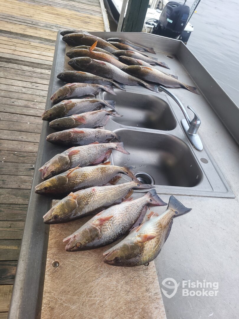 Sulphur Report Photo 0
