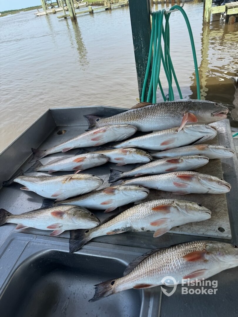 Sulphur Report Photo 0