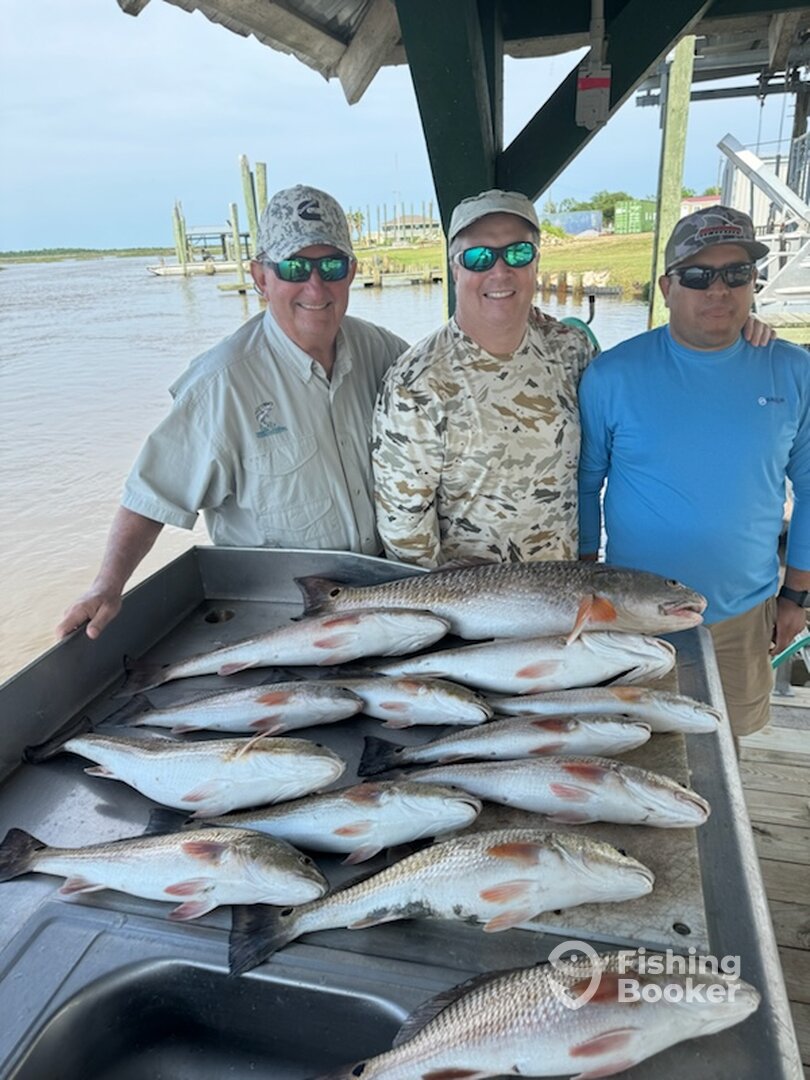 Sulphur Report Photo 0