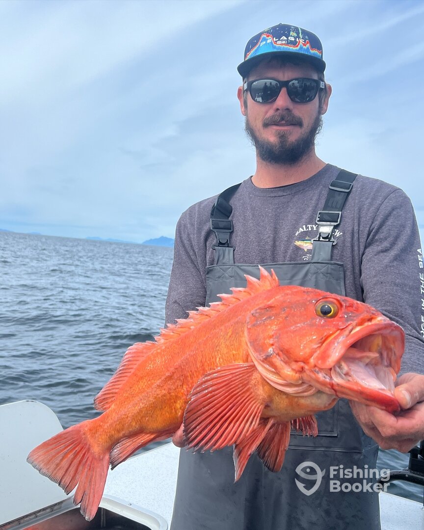 Ketchikan Report Photo 0