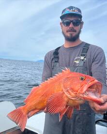 2024 is already underway and kicking but