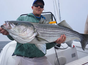 Big bass still around  