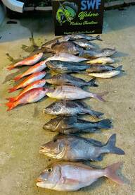 CREW Grocery Shopping DAY