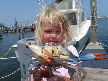 Hatteras Report Photo 2