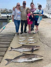 COBIA and Spanish Mackeral   