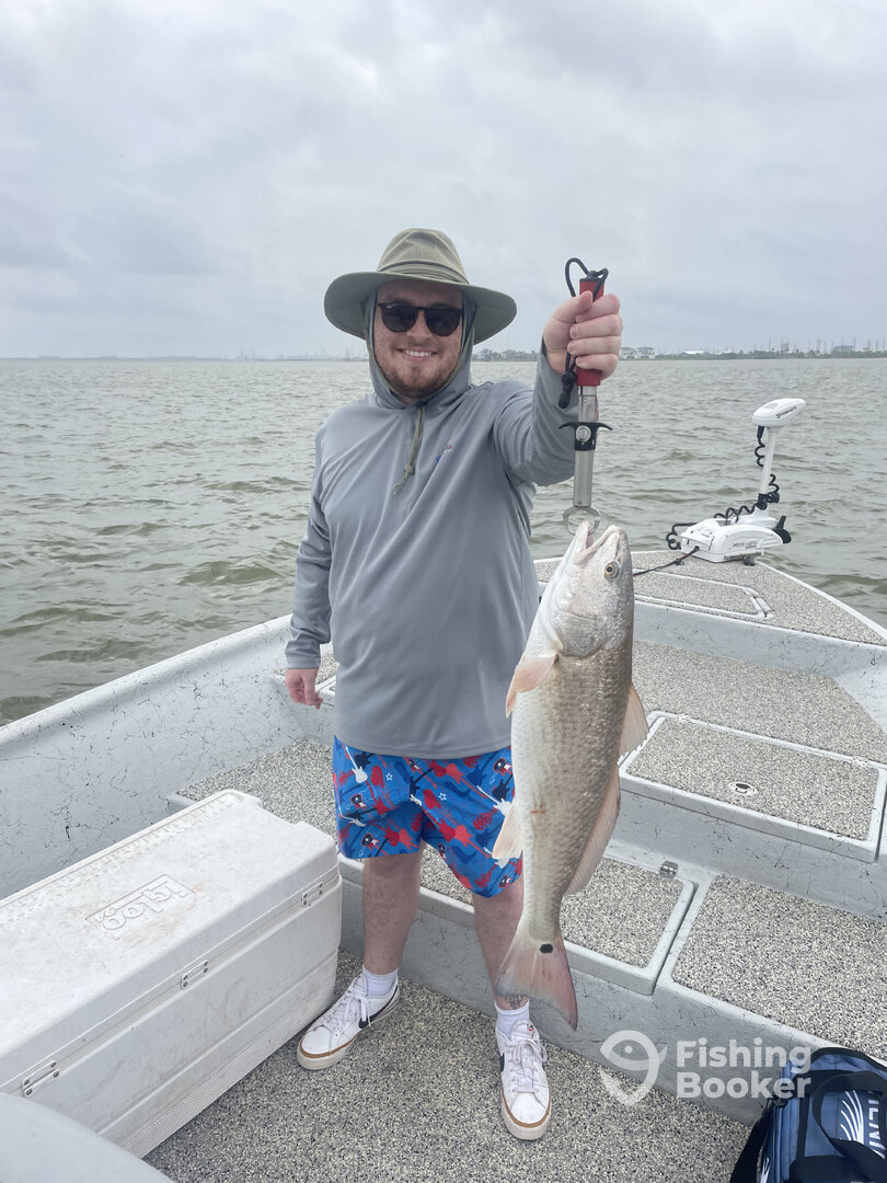 San Leon Report Photo 0