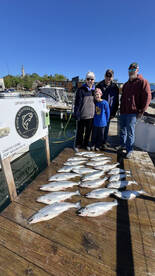 Port Washington Report Photo 2