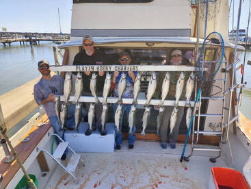 Waukegan Report Photo 2