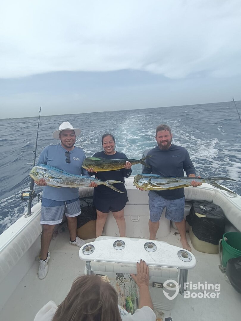 Playa Del Carmen Report Photo 0