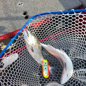 Lake Geneva Report Photo 1