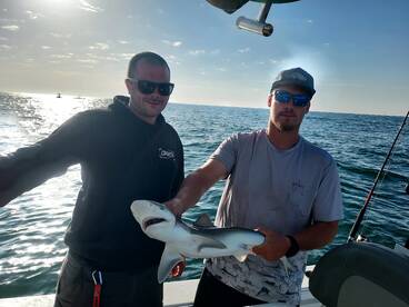 Murrells Inlet Report Photo 2