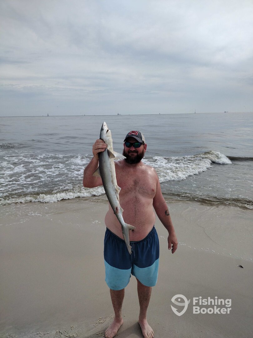 Fort Morgan Report Photo 0
