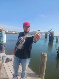 Manteo Report Photo 2