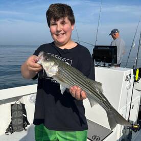 Pasadena Report Photo 2