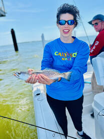 Dauphin Island Report Photo 1