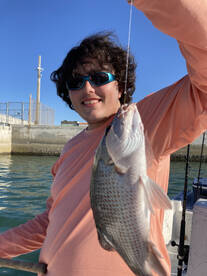 Snapper,sharks and more