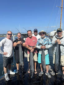 The wahoo bite is on fire 