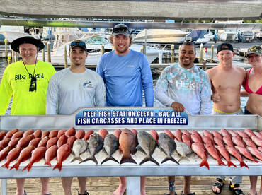 Shalimar Report Photo 1