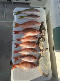 Deepwater delicacies