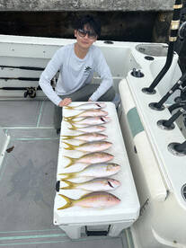 Fatty yellow tails