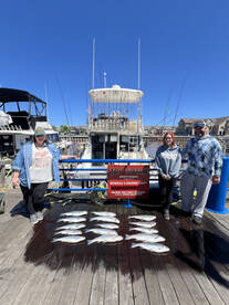 Coho salmon and king salmon!