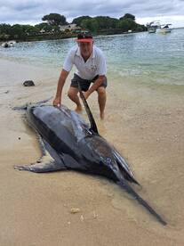 Blue Marlin 535 Lbs 