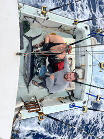 Blue Marlin for the honeymoon 