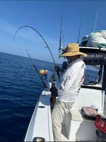 Placida Report Photo 1