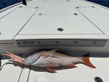 Key West Report Photo 2